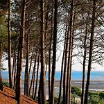 Apartman - Superbe T3 Avec Terrasse, Piscine Et Parking Securise - 6 Personnes - Fr-1-420-33 Arcachon