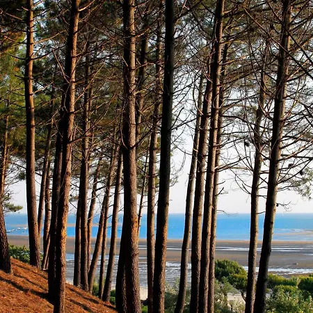 Apartamento - Superbe T3 Avec Terrasse, Piscine Et Parking Securise - 6 Personnes - Fr-1-420-33 Arcachon