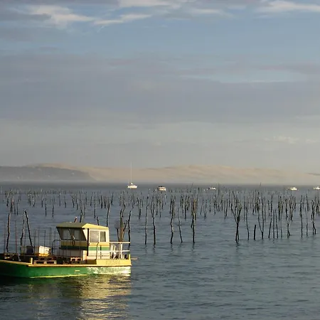 Apartament - Superbe T3 Avec Terrasse, Piscine Et Parking Securise - 6 Personnes - Fr-1-420-33 *