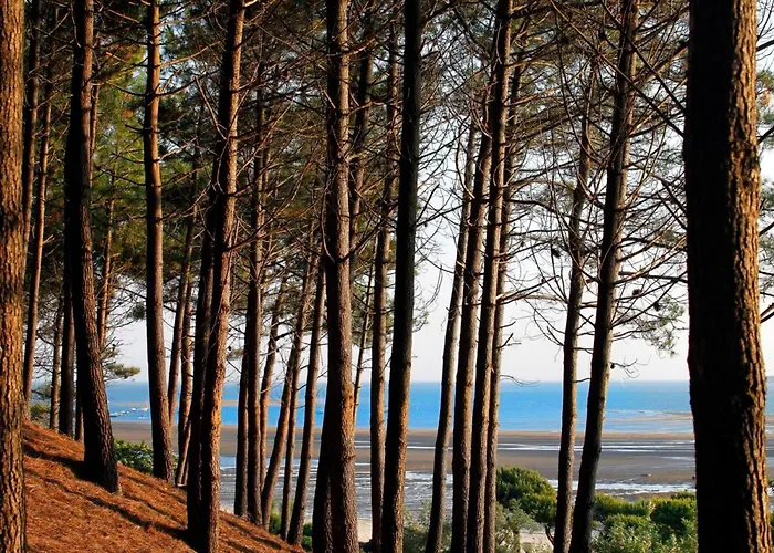 Apartament - Superbe T3 Avec Terrasse, Piscine Et Parking Securise - 6 Personnes - Fr-1-420-33 Arcachon
